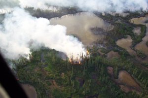 Just a random little fire, started by lightning somewhere in Wood Buffalo National Park (southern Northwest Territories), June 2006; landscape is typical of the boreal muskeg - poorly drained soil, lots of water, lots of organic material, small trees. 